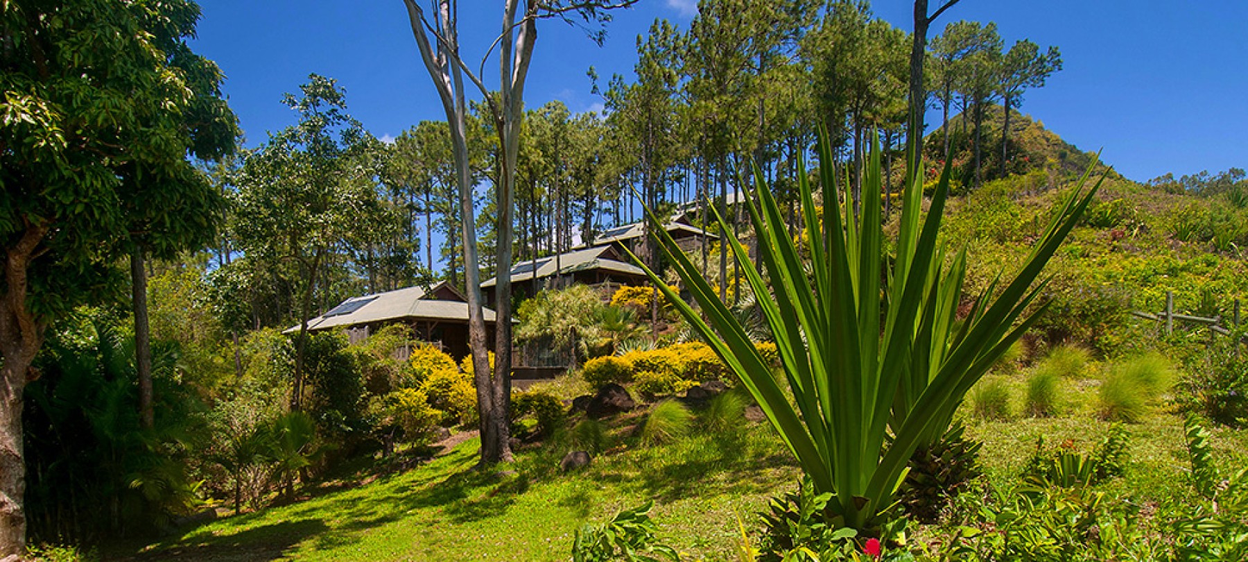 Suite Vue Mer Piscine